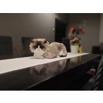 Zdjęcia użytkowników Nubia Red Magic 8 Pro Zdjęcia użytkowników Nubia Red Magic 8 Pro