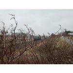 Zdjęcia użytkowników Nubia Red Magic 8 Pro Zdjęcia użytkowników Nubia Red Magic 8 Pro