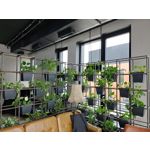 Zdjęcia użytkowników Nubia Red Magic 8 Pro Zdjęcia użytkowników Nubia Red Magic 8 Pro