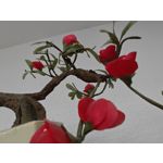 Zdjęcia użytkowników Nubia Red Magic 8 Pro Zdjęcia użytkowników Nubia Red Magic 8 Pro