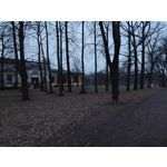 Zdjęcia użytkowników Nubia Red Magic 9 Pro+