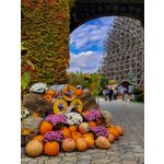 Zdjęcia użytkowników Nubia Air