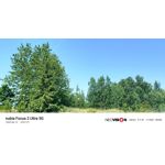 ZDJĘCIA Z TEGO TELEFONU