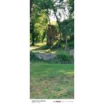 ZDJĘCIA Z TEGO TELEFONU