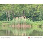 Zdjęcia użytkowników Nubia Red Magic 10 Air