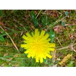 Zdjęcia użytkowników Nubia Red Magic 10 Air