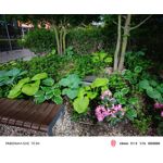 Zdjęcia użytkowników Nubia Red Magic 10 Air