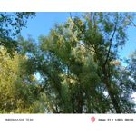 Zdjęcia użytkowników Nubia Red Magic 10 Air