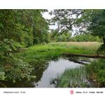 Zdjęcia użytkowników Nubia Red Magic 10 Air