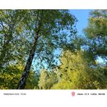 Zdjęcia użytkowników Nubia Red Magic 10 Air