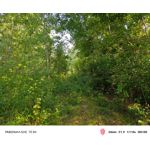 Zdjęcia użytkowników Nubia Red Magic 10 Air