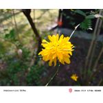 Zdjęcia użytkowników Nubia Red Magic 10 Pro