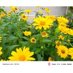 Zdjęcia użytkowników Nubia Red Magic 10S Pro Zdjęcia użytkowników Nubia Red Magic 10S Pro