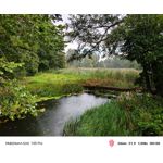 Zdjęcia użytkowników Nubia Red Magic 10S Pro Zdjęcia użytkowników Nubia Red Magic 10S Pro