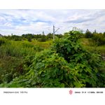 Zdjęcia użytkowników Nubia Red Magic 10S Pro Zdjęcia użytkowników Nubia Red Magic 10S Pro