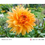 Zdjęcia użytkowników Nubia Red Magic 10S Pro Zdjęcia użytkowników Nubia Red Magic 10S Pro