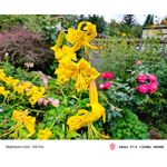 Zdjęcia użytkowników Nubia Red Magic 10S Pro Zdjęcia użytkowników Nubia Red Magic 10S Pro