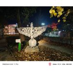 Zdjęcia użytkowników Nubia Red Magic 11 Pro