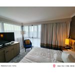 Zdjęcia użytkowników Nubia Red Magic 11S Pro