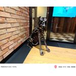 Zdjęcia użytkowników Nubia Red Magic 11S Pro