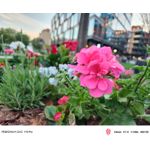 Zdjęcia użytkowników Nubia Red Magic 11S Pro