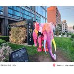 Zdjęcia użytkowników Nubia Red Magic 11S Pro