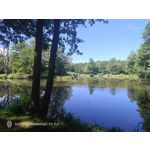 Zdjęcia użytkowników Nubia Red Magic 9S Pro Zdjęcia użytkowników Nubia Red Magic 9S Pro