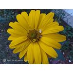 Zdjęcia użytkowników Nubia Red Magic 9S Pro Zdjęcia użytkowników Nubia Red Magic 9S Pro