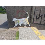 Zdjęcia użytkowników Nubia Red Magic 9S Pro Zdjęcia użytkowników Nubia Red Magic 9S Pro