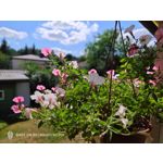 Zdjęcia użytkowników Nubia Red Magic 9S Pro Zdjęcia użytkowników Nubia Red Magic 9S Pro