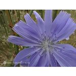 Zdjęcia użytkowników Nubia Red Magic 9S Pro Zdjęcia użytkowników Nubia Red Magic 9S Pro