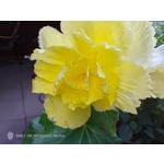 Zdjęcia użytkowników Nubia Red Magic 9S Pro Zdjęcia użytkowników Nubia Red Magic 9S Pro