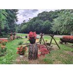 Zdjęcia użytkowników Nubia Red Magic 9S Pro Zdjęcia użytkowników Nubia Red Magic 9S Pro