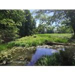 Zdjęcia użytkowników Nubia Red Magic 9S Pro Zdjęcia użytkowników Nubia Red Magic 9S Pro