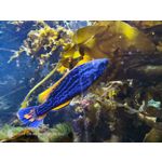 Zdjęcia użytkowników Nubia Red Magic 9S Pro Zdjęcia użytkowników Nubia Red Magic 9S Pro