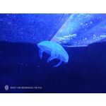 Zdjęcia użytkowników Nubia Red Magic 9S Pro Zdjęcia użytkowników Nubia Red Magic 9S Pro