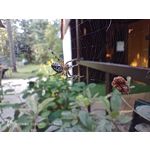 Zdjęcia użytkowników Nubia Red Magic 9S Pro Zdjęcia użytkowników Nubia Red Magic 9S Pro