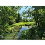 Zdjęcia użytkowników Nubia Red Magic 9S Pro Zdjęcia użytkowników Nubia Red Magic 9S Pro