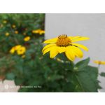 Zdjęcia użytkowników Nubia Red Magic 9S Pro Zdjęcia użytkowników Nubia Red Magic 9S Pro