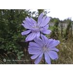 Zdjęcia użytkowników Nubia Red Magic 9S Pro Zdjęcia użytkowników Nubia Red Magic 9S Pro