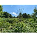 Zdjęcia użytkowników Nubia Red Magic 9S Pro Zdjęcia użytkowników Nubia Red Magic 9S Pro