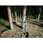 Zdjęcia użytkowników Nubia Red Magic 9S Pro Zdjęcia użytkowników Nubia Red Magic 9S Pro