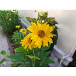 Zdjęcia użytkowników Nubia Red Magic 9S Pro Zdjęcia użytkowników Nubia Red Magic 9S Pro