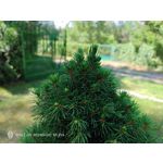 Zdjęcia użytkowników Nubia Red Magic 9S Pro Zdjęcia użytkowników Nubia Red Magic 9S Pro