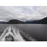 Zdjęcia użytkowników Nubia Red Magic 9S Pro Zdjęcia użytkowników Nubia Red Magic 9S Pro