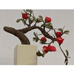 Zdjęcia użytkowników OnePlus 11 Global Zdjęcia użytkowników OnePlus 11 Global