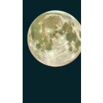 ZDJĘCIA Z TEGO TELEFONU