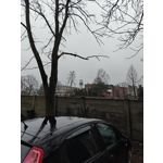 Zdjęcia użytkowników OnePlus 12