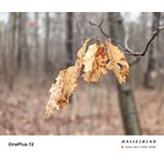 Zdjęcia użytkowników OnePlus 12