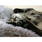 Zdjęcia użytkowników OnePlus 3T